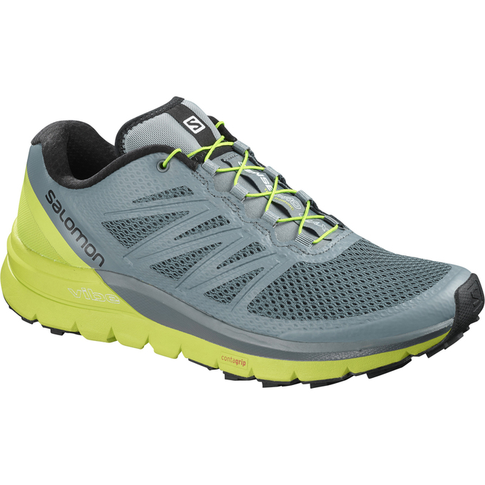 Chaussures De Trail Running Salomon Homme Bleu / Vert - Salomon SENSE PRO MAX - France (8602-SYAWJ)